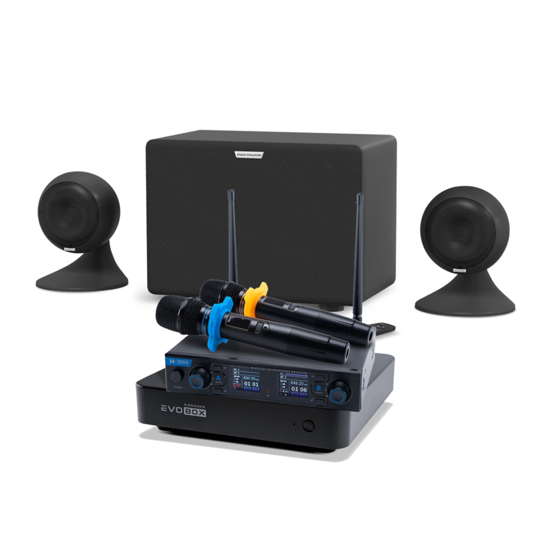 караоке-комплект EVOBOX + EvoSound Sphere 2.1 в Лыткарино