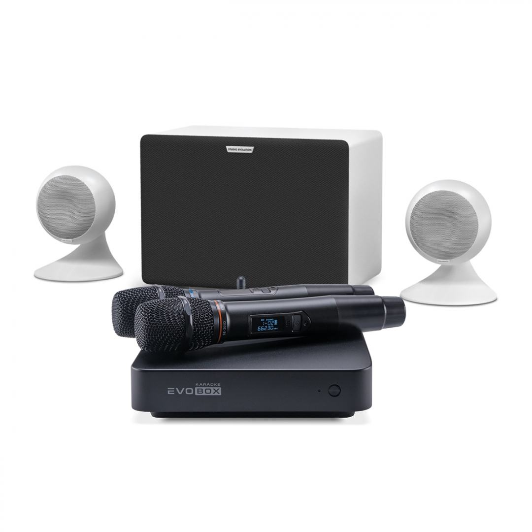 караоке-комплект EVOBOX Classic + EvoSound Sphere 2.1 в Лыткарино