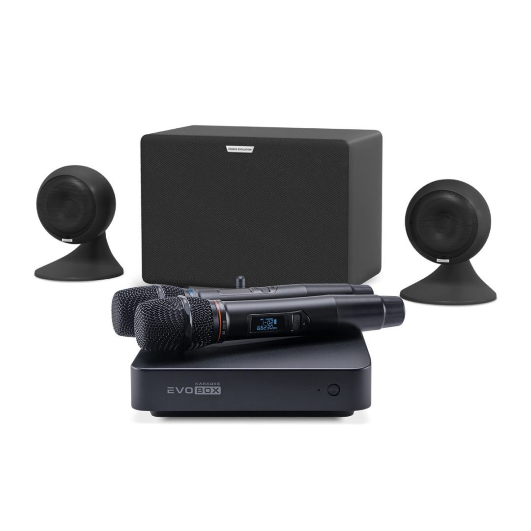 караоке-комплект EVOBOX Plus + EvoSound Sphere 2.1 в Лыткарино