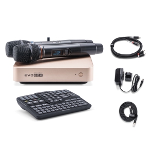 EVOBOX Classic караоке-система для дома в Лыткарино