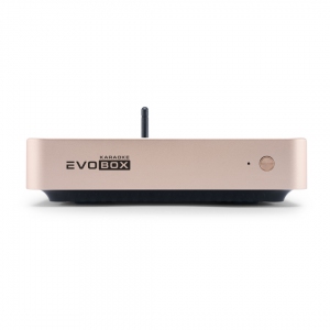 EVOBOX Plus караоке-система для дома в Лыткарино