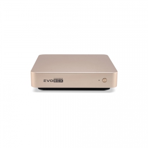 EVOBOX с микрофонами в Лыткарино